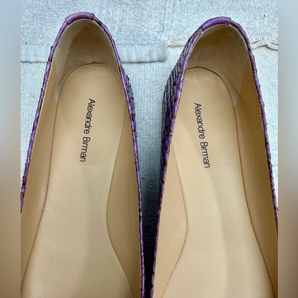 Alexandre Birman Genuine Python Ballet Flats - image 7
